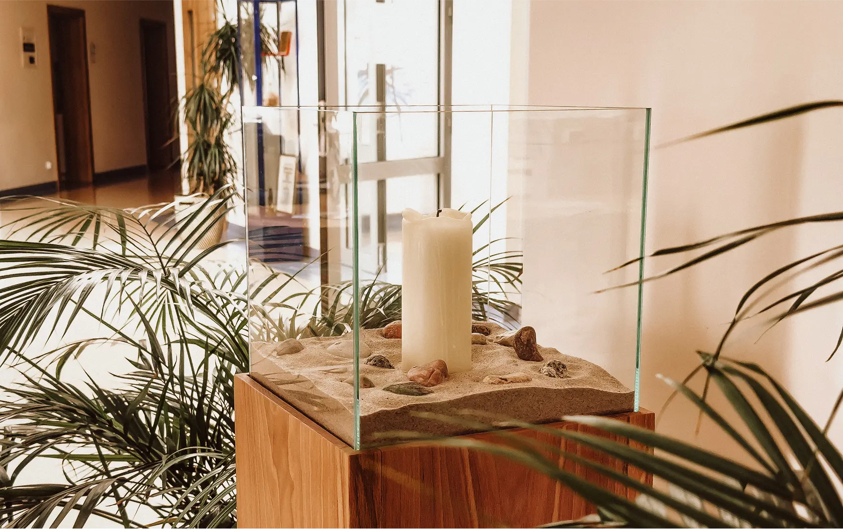 Zdjęcie wolontariuszy podczas pól nadzei